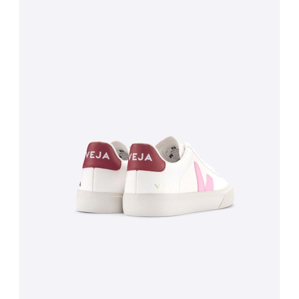 Veja CAMPO CHROMEFREE Low Tops Sneakers Férfi White/Pink | HU 193WNB